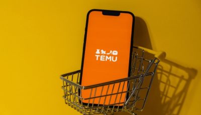 Temu新增支持多个南非官方语言