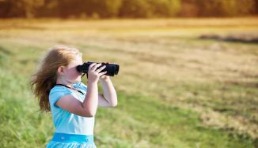 又一蓝海平台！中国卖家占比不足10%